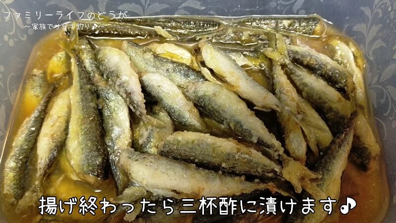 【大阪】汐見埠頭(砂上げ場)で家族でサビキ釣り♪子供達が釣った魚を美味しく調理♪小鯖の三杯酢漬け