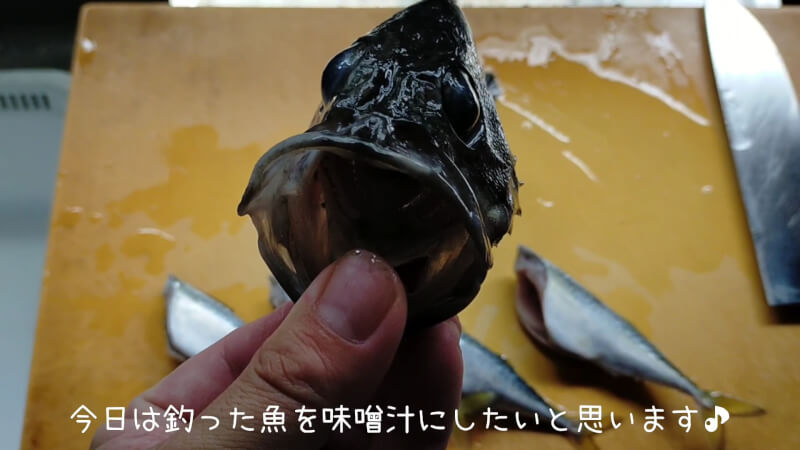 【南港大橋】夜のアオイソメの餌釣りでクロソイがヒット！美味しく調理して食べちゃいました♪【大阪】