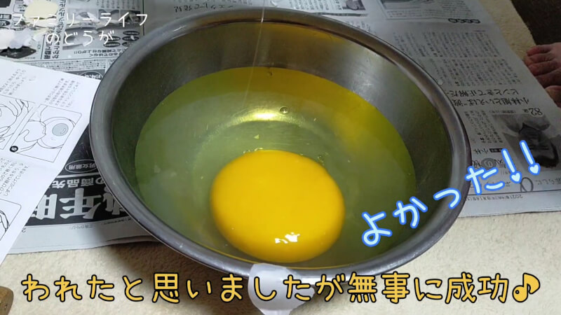 【ダチョウの卵】巨大な卵を初めての殻割り♪プリンを作ってみた♪【美里オーストリッチファーム】
