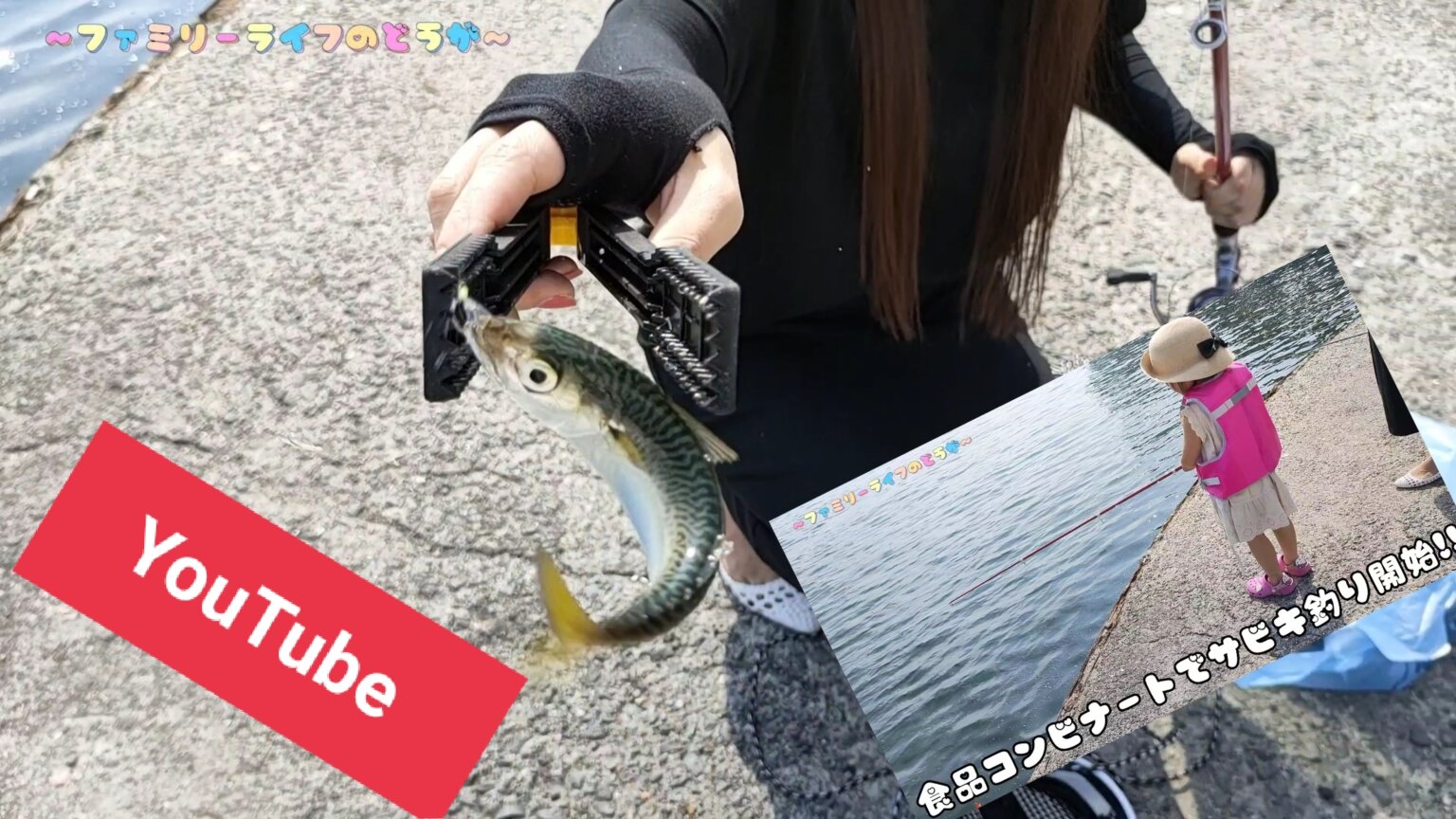 【釣り動画】家族でサビキ釣りに行ってきた動画をアップ【Youtube】