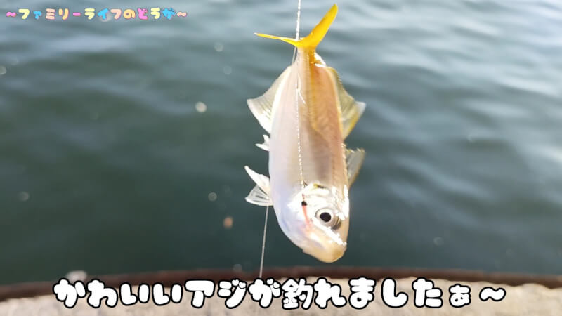 【釣り】サビキで釣った豆アジを使ってノマセ釣りでチヌをゲット！【大阪湾 食品コンビナート】