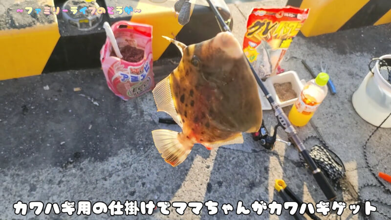 【釣り】汐見埠頭でファミリーフィッシング♪謎の寄生虫に遭遇・・・【大阪】カワハギ