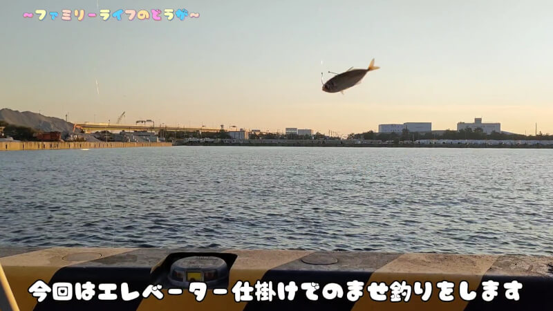 【釣り】汐見埠頭でファミリーフィッシング♪謎の寄生虫に遭遇・・・【大阪】ノマセ釣り 泳がせ釣り エレベーター仕掛け
