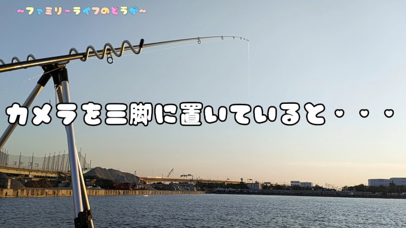 【釣り】汐見埠頭でファミリーフィッシング♪謎の寄生虫に遭遇・・・【大阪】