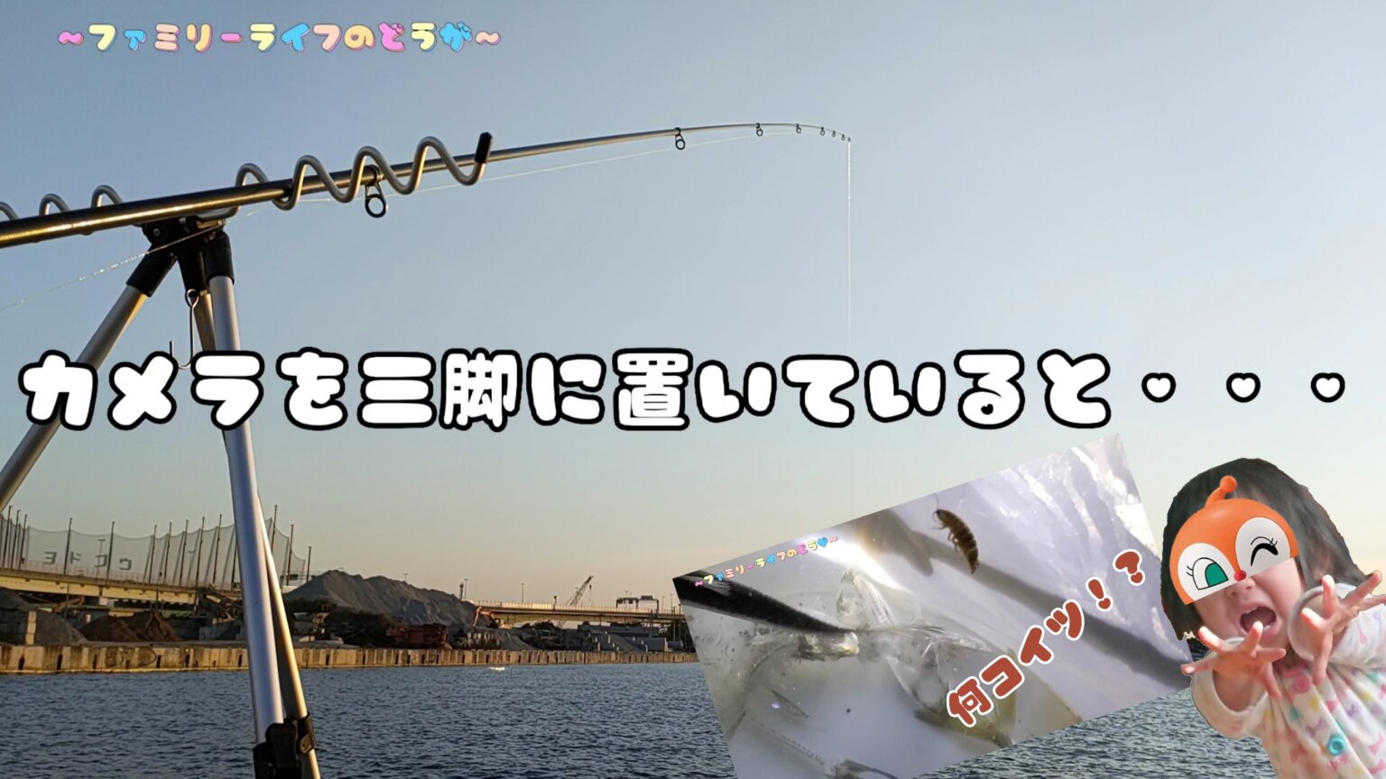 【釣り】汐見埠頭でファミリーフィッシング♪謎の寄生虫に遭遇・・・【大阪】