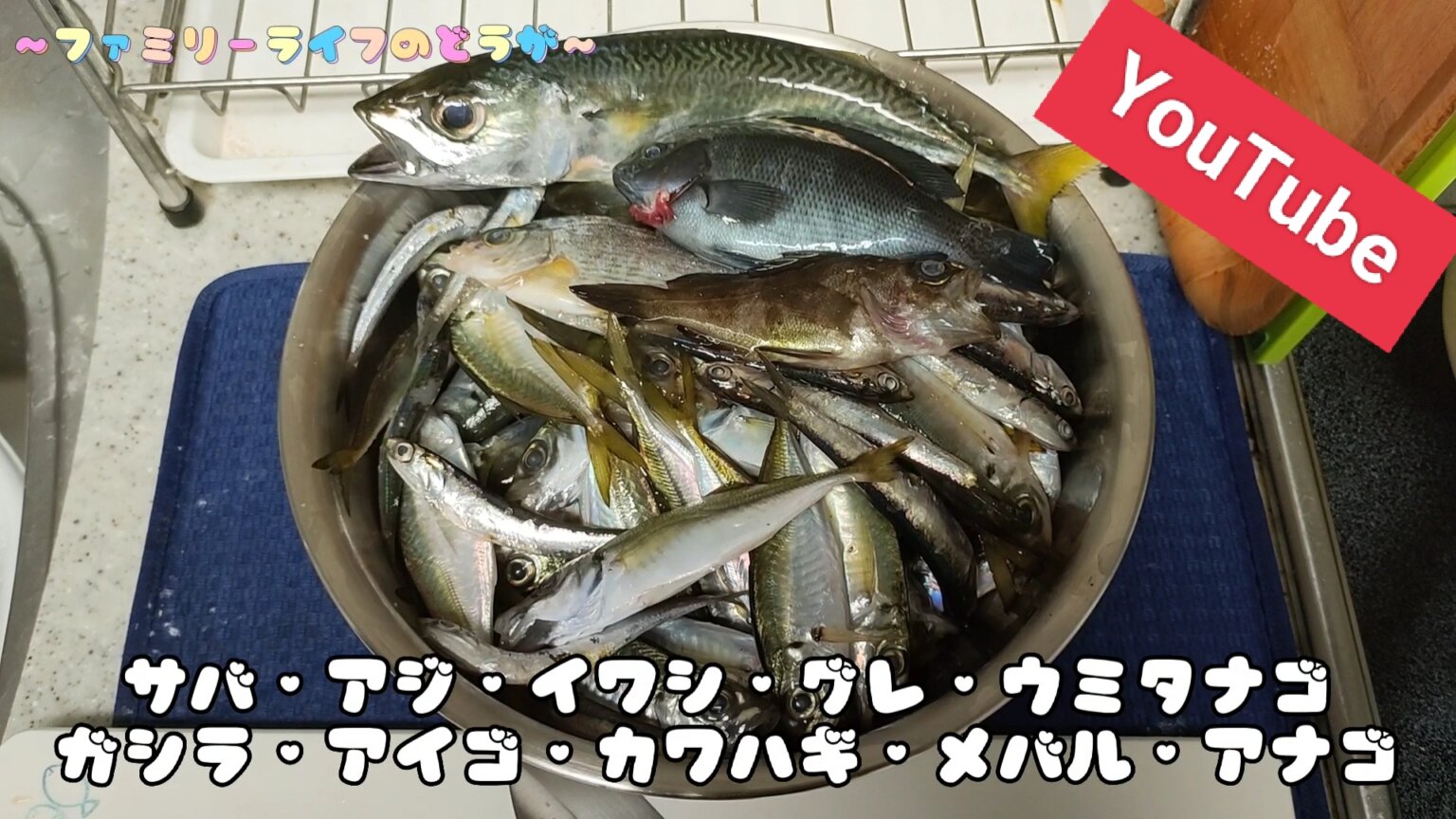 【釣り動画】10種の魚が釣れました！！大漁♪大漁♪【Youtube】