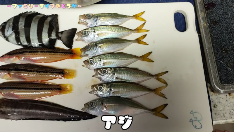 【釣り】食品コンビナートで夜の電気ウキ釣り♪【和歌山川のドラム釣果】アジ