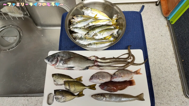 【釣り】釣った魚で美味しい天丼とお刺身が完成！【食品コンビナート】