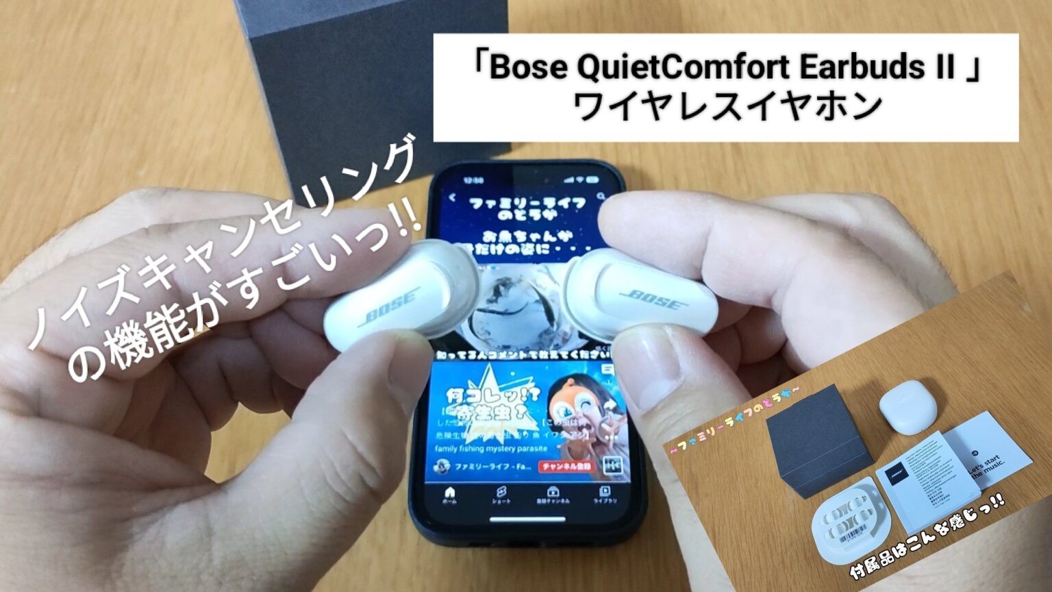 【レビュー】「Bose QuietComfort Earbuds II」ワイヤレスイヤホンを購入！