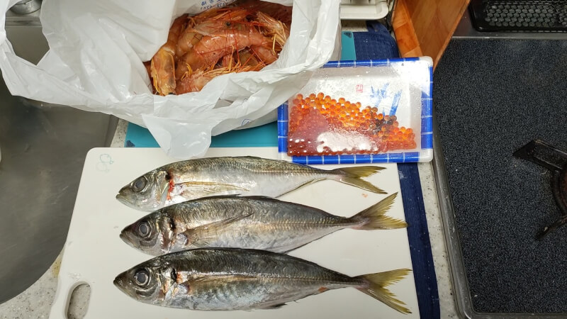 【おでかけ】泉佐野漁協青空市場に新鮮な魚を買いに行ってきました♪【鮮魚】アカエビ イクラ アジ