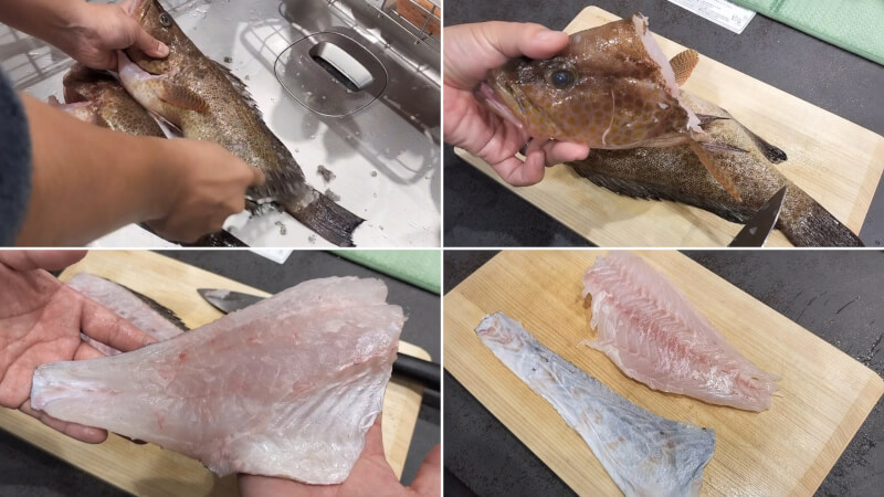 【魚料理】オオモンハタを捌いて刺身・煮付け・潮汁を作ってみた♪【さばき方】