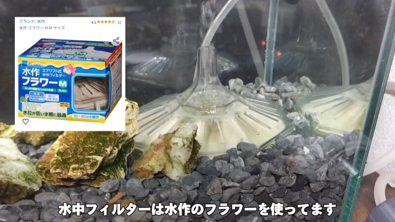 【アクアリウム】ミシシッピニオイガメの水槽紹介【水中フィルターやエアポンプ】