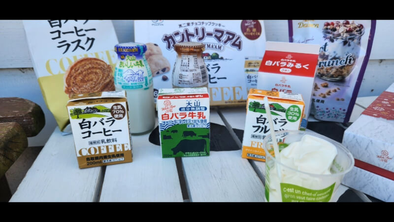 【鳥取県】白バラショップ「カウィーのみるく館」でお買い物【おでかけ】