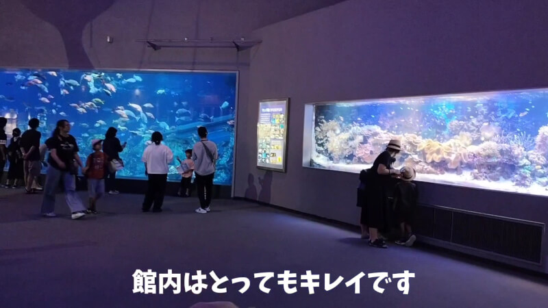 【家族旅行】鳥羽水族館を満喫♪スノードーム作りにも挑戦！【三重県におでかけ】　ジュゴン　セレナ