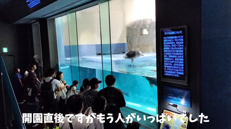 【家族旅行】鳥羽水族館を満喫♪スノードーム作りにも挑戦！【三重県におでかけ】　