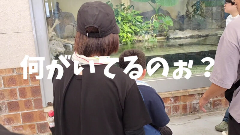 【家族旅行】鳥羽水族館を満喫♪スノードーム作りにも挑戦！【三重県におでかけ】　ワニ