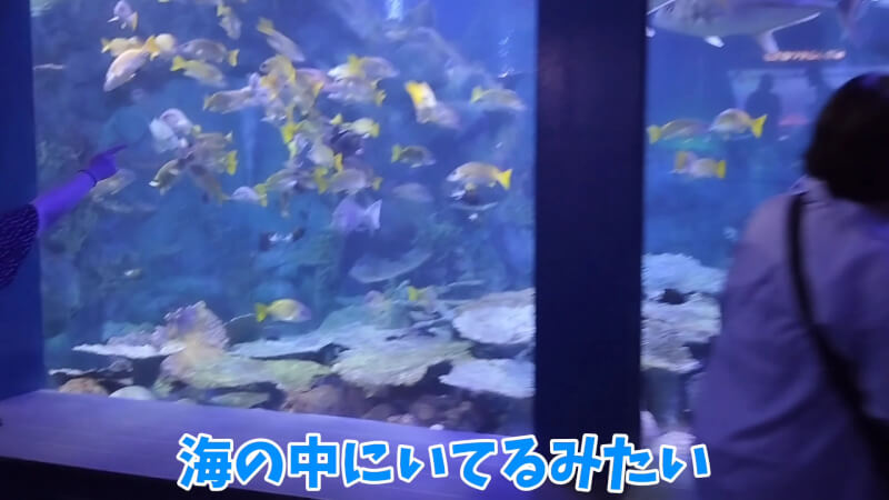 【家族旅行】鳥羽水族館を満喫♪スノードーム作りにも挑戦！【三重県におでかけ】