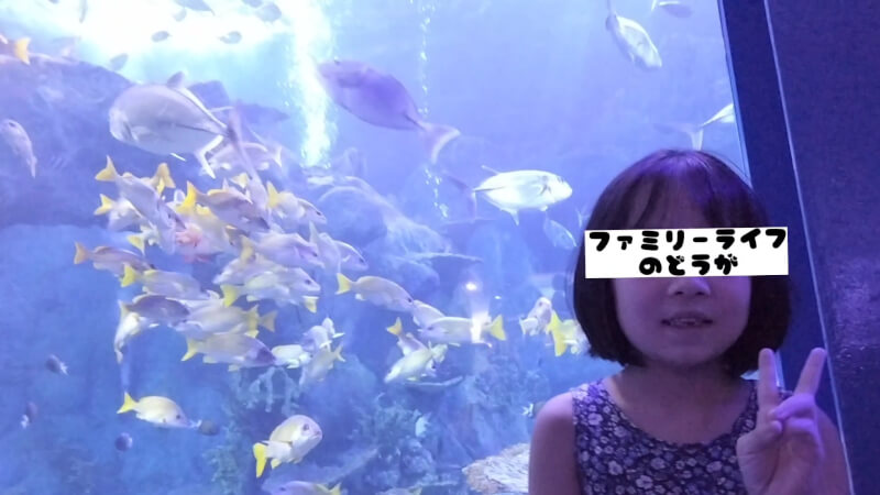 【家族旅行】鳥羽水族館を満喫♪スノードーム作りにも挑戦！【三重県におでかけ】