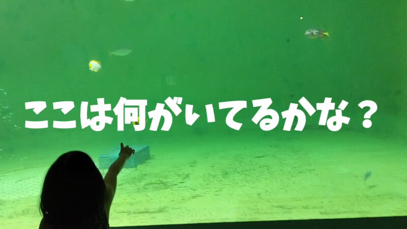 【家族旅行】鳥羽水族館を満喫♪スノードーム作りにも挑戦！【三重県におでかけ】　ジュゴン