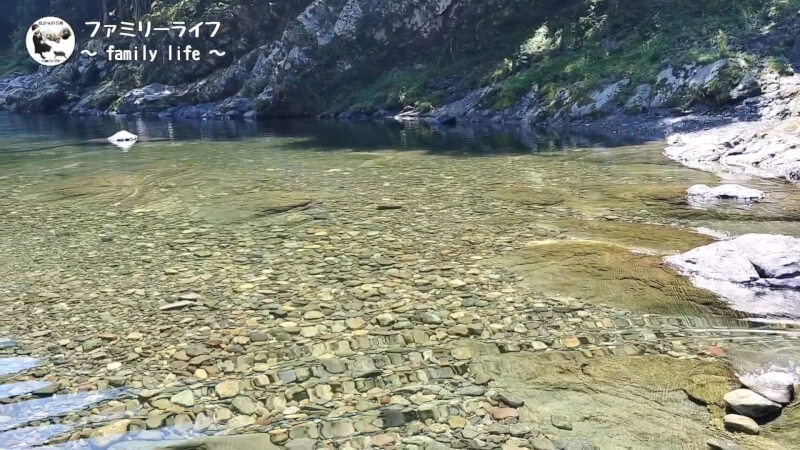 【天川村】西之谷ふれあいの森キャンプ場にワンちゃんを連れて川遊び♪【おでかけ】