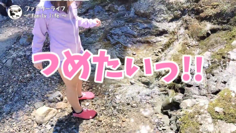 【天川村】西之谷ふれあいの森キャンプ場にワンちゃんを連れて川遊び♪【おでかけ】