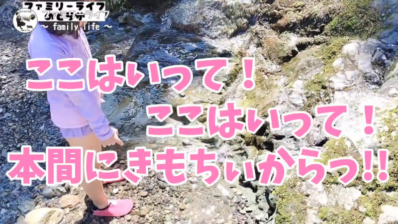 【天川村】西之谷ふれあいの森キャンプ場にワンちゃんを連れて川遊び♪【おでかけ】