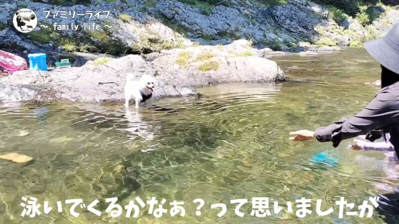 【天川村】西之谷ふれあいの森キャンプ場にワンちゃんを連れて川遊び♪【おでかけ】