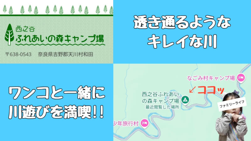 【天川村】西之谷ふれあいの森キャンプ場にワンちゃんを連れて川遊び♪【おでかけ】