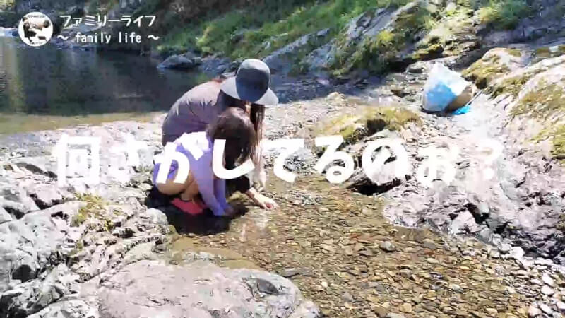 【天川村】西之谷ふれあいの森キャンプ場にワンちゃんを連れて川遊び♪【おでかけ】