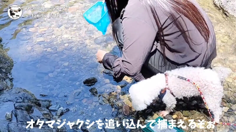 【天川村】西之谷ふれあいの森キャンプ場にワンちゃんを連れて川遊び♪【おでかけ】