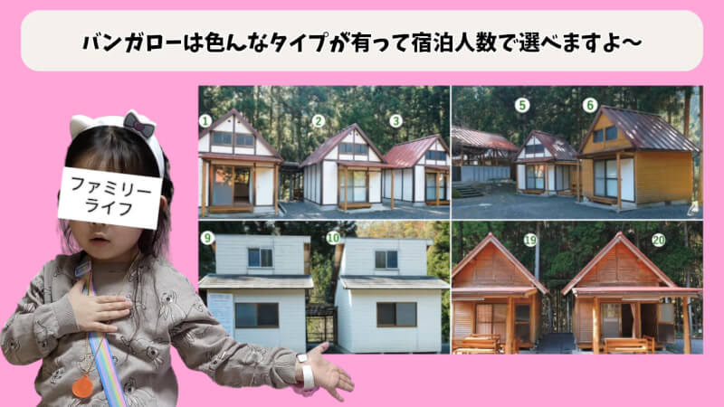 【天川村】西之谷ふれあいの森キャンプ場にワンちゃんを連れて川遊び♪【おでかけ】