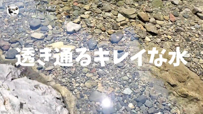 【天川村】西之谷ふれあいの森キャンプ場にワンちゃんを連れて川遊び♪【おでかけ】