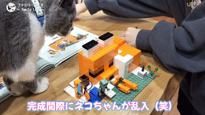 【おもちゃ】レゴ(LEGO) マインクラフトの「キツネ小屋」を購入組み立て♪【ブロック】