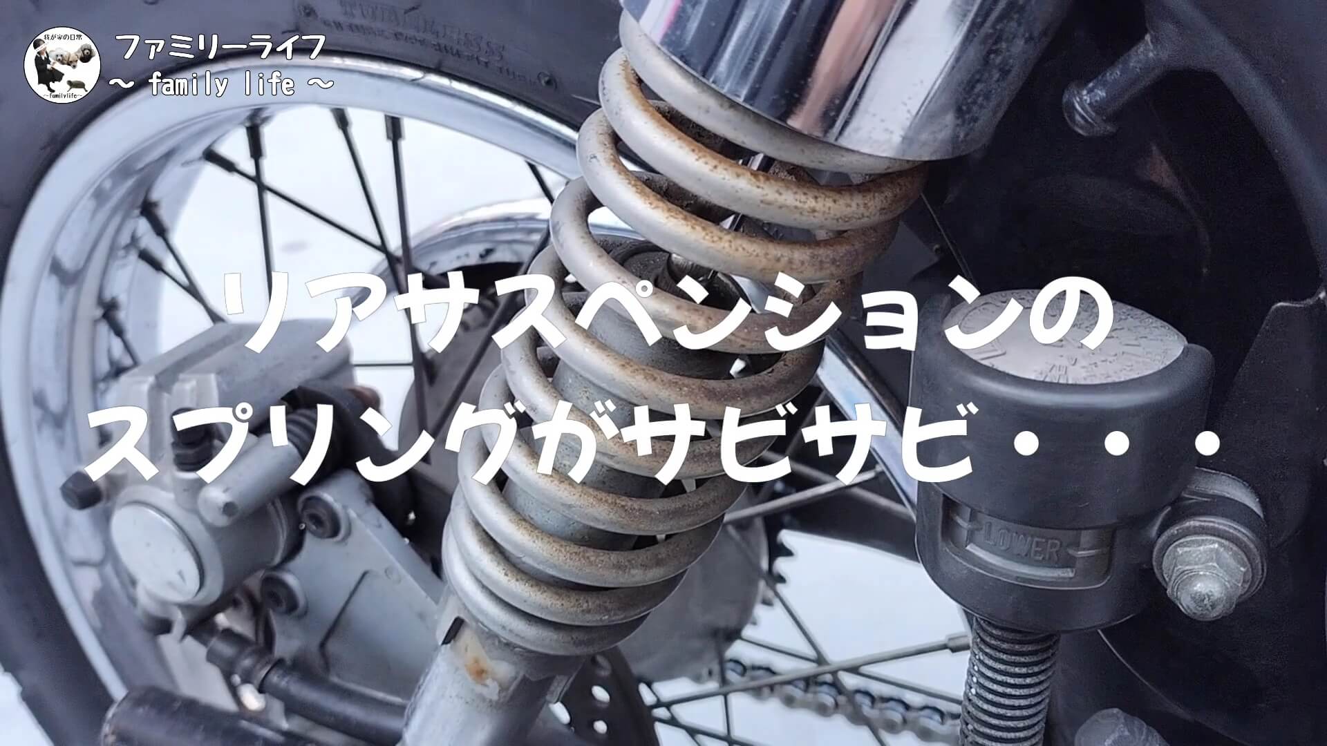 【バイク】キッチン用品でできるバイクの錆落とし【ボンスターとジフ】