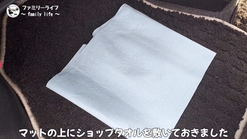 【カーエアコン】臭い匂いが解消！「エバポレータークリーナー」と「わさびディール」【ヴォクシー】