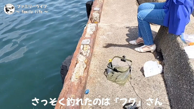 【家族旅行2日目】ドライブインダルマでレトロ自販機を体験♪【おでかけ】車を横付けできる釣り場の前島埠頭