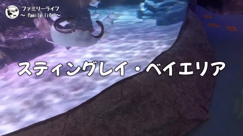 【家族旅行】レゴと水族館が一緒に楽しめる「シーライフ名古屋」に行ってきたよ♪【名古屋】