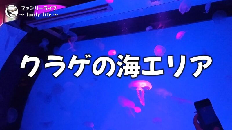 【家族旅行】レゴと水族館が一緒に楽しめる「シーライフ名古屋」に行ってきたよ♪【名古屋】