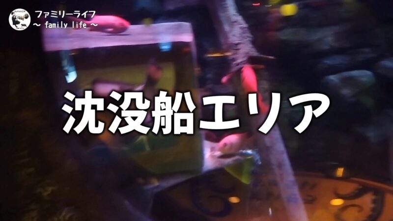 【家族旅行】レゴと水族館が一緒に楽しめる「シーライフ名古屋」に行ってきたよ♪【名古屋】