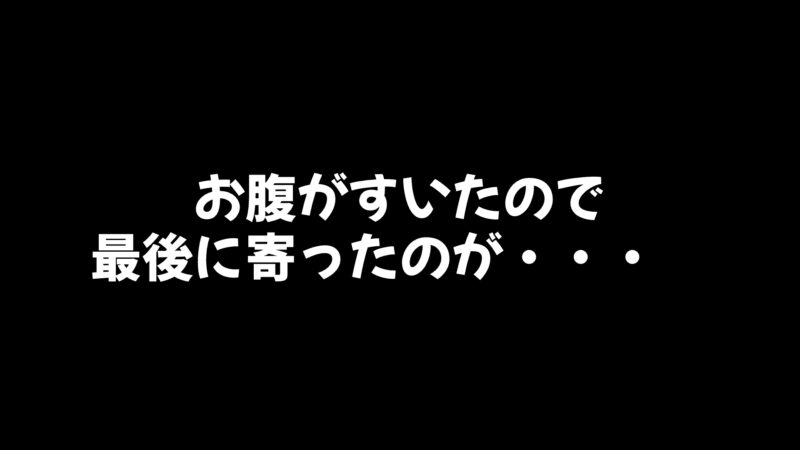 「矢場とん」で大きなとんかつを食す!
