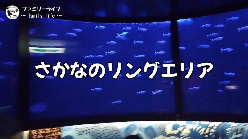 【家族旅行】レゴと水族館が一緒に楽しめる「シーライフ名古屋」に行ってきたよ♪【名古屋】