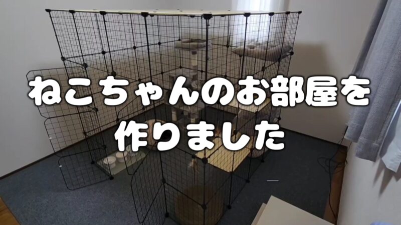 【大型キャットケージ】猫ちゃんのお部屋を作りました♪組み立て簡単でおすすめのケージ紹介♪