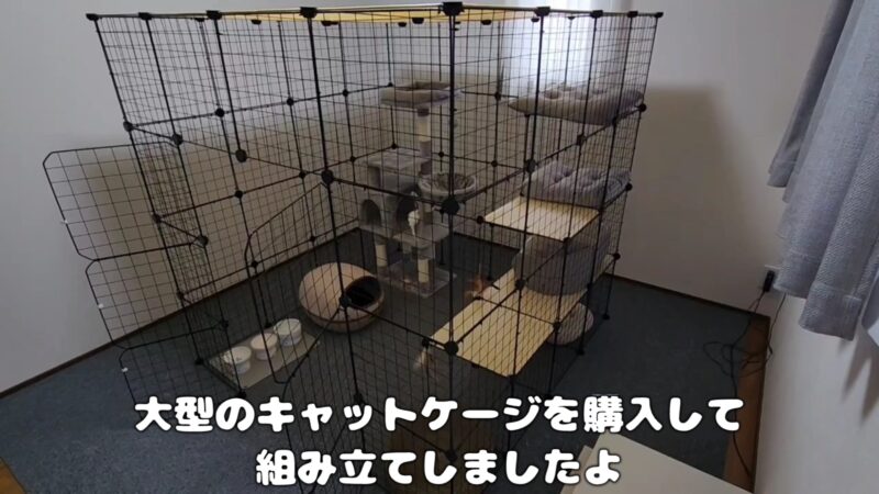 【大型キャットケージ】猫ちゃんのお部屋を作りました♪組み立て簡単でおすすめのケージ紹介♪