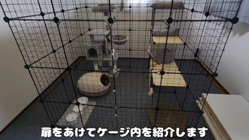 【大型キャットケージ】猫ちゃんのお部屋を作りました♪組み立て簡単でおすすめのケージ紹介♪