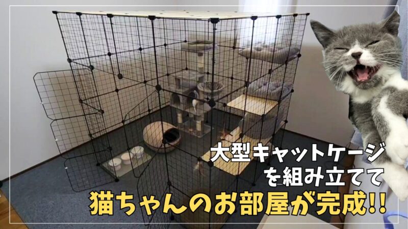 【大型キャットケージ】猫ちゃんのお部屋を作りました♪組み立て簡単でおすすめのケージ紹介♪