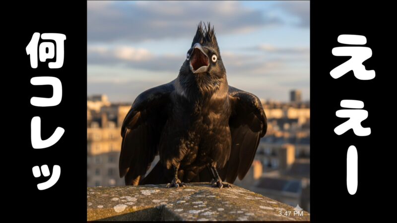 【からすノンノン】カラスのゴミ荒らし対策におすすめ！ネット付きのゴミボックスを紹介♪