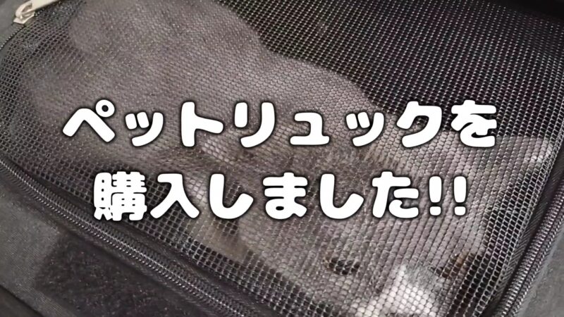 【ペットリュック】猫ちゃんのおでかけに便利♪2段式で折りたたみできておすすめ♪