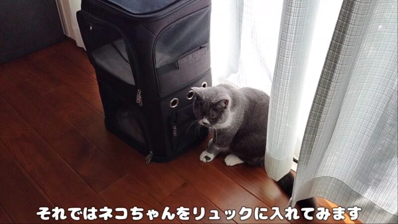 【ペットリュック】猫ちゃんのおでかけに便利♪2段式で折りたたみできておすすめ♪