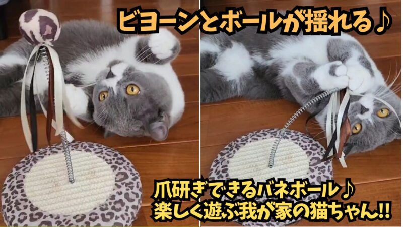 バネの付いたボールが揺れる！爪研ぎもできる猫ちゃんのおもちゃ【バネボール】