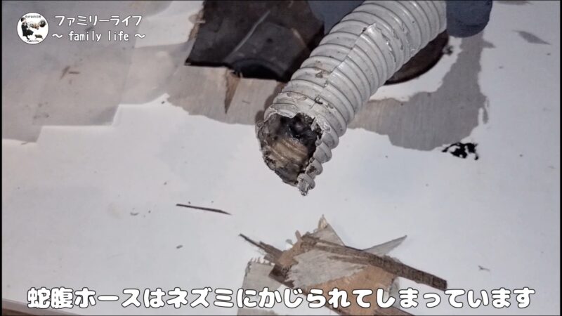 【DIY】ネズミにかじられた蛇腹ホースを交換！排水管を延長して対策♪【キッチン排水管の立ち上げ】